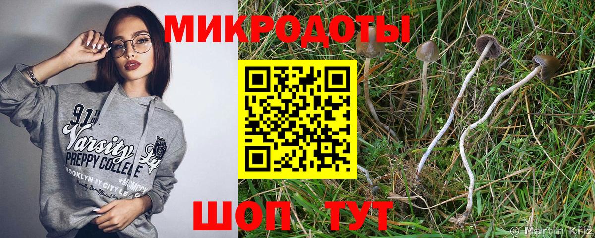 Псилоцибиновые грибы мицелий  Вход с VPN  Лосино-Петровский  где найти наркотики  Галлюциногенные грибы ЛСД 